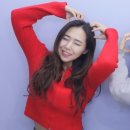 크로스핏 앤츠 | 선택적 게으름뱅이