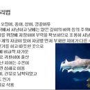 160 모래뱀상어 Shark, Sand Tiger 이미지