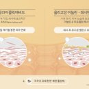 마인드앤바디밸런스