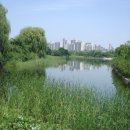 사랑의 복지관 이미지