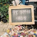 스페이스로그