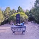 양양이삼국지 시즌3-6 강유, 방덕, 하후돈(2곳) 이미지