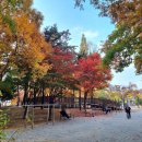 소바우공원 이미지