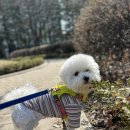 올바로 교육문화센터 이미지