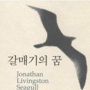 갈매기의 꿈 이미지