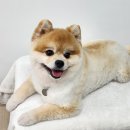 봉구냠냠 이미지