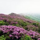 4월 가볼만 한곳.. ^^ 이미지