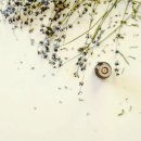 몸과 마음 힐링, 아로마테라피 이미지