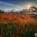 덕천푸른의원 이미지