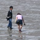 용인대백호체육관 이미지