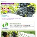 은성자연농장 이미지