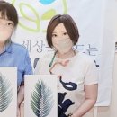 보태니컬&팝아트 이미지