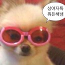 배봉자김밥 | 찐찐찐찐찐 등린이의 광덕산 최단 코스 등산 후기(제1회 쌍용 조팝 산악회) +저의 일상도 살짝쿵 들어...