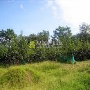 상주힐링별장 이미지