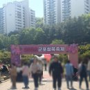 동산마켓 | 2026 군포 철쭉축제🌸 핑크빛 미쳤던 “군포철쭉동산” 솔직 후기