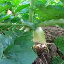 여월주공어린이집 이미지