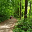 삼수동 주민복지센터 이미지