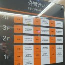 포워드어학원 | 영통 키즈카페 리프패럿 아이랑 앵무새 체험