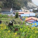 시인의뜰펜션 이미지