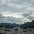 음동길 | [경기 가평] 남이섬 당일치기 드라이브 코스 공유