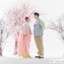 르네상스 스튜디오 이미지