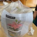 백합작은도서관 이미지