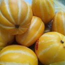 철이네청과 이미지