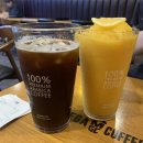 메가엠지씨커피 평촌로데오점 이미지