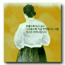 오월에 Daum카페