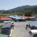 승주시장 이미지