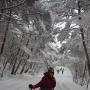 한라산 영실코스(16.2.16)와 용두암 이미지