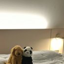 한샘 호텔침대 어반글로우 내돈내산 4개월 사용 후기