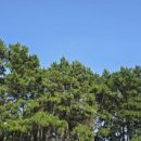 이정민부동산공인중개사사무소 이미지