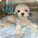 하랑메디컬 이미지