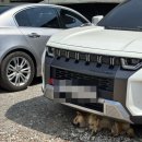 숲속펜션 | 최고의 테니스 펜션 여주 숲속 테니스장 후기