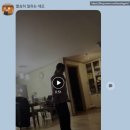 바라다짐 이미지