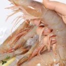 와석2리마을회관 이미지