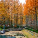 장태산자연휴양림 이미지