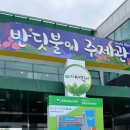 반딧불체육관 | 2025 무주 반딧불축제 개막식 다녀온 후기 / 주차 일정 먹거리 / 아이랑 주말 나들이 추천