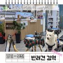 광명 24 아이디동물의료센터 | 24시 동물병원 애견동반 해외여행 검역 부천 이지동물의료센터