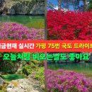 북면행정복지센터 | 가평 가볼만한곳 드라이브코스 75번 국도 용소폭포 명지계곡 도마치고개