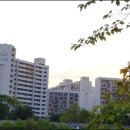 주공1단지A 이미지