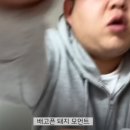 하모니빈즈 네이버블로그