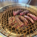 싱싱목장 이미지