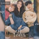 리틀마이펫 이미지