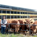 녹색한우농장 이미지