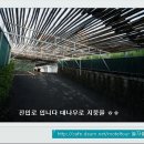 뉴하얏트모텔 이미지