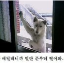 껴봐차봐