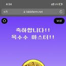 벨라프라하 이미지