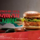 파파이스 - 종로구 창경궁로 234 | 파파이스